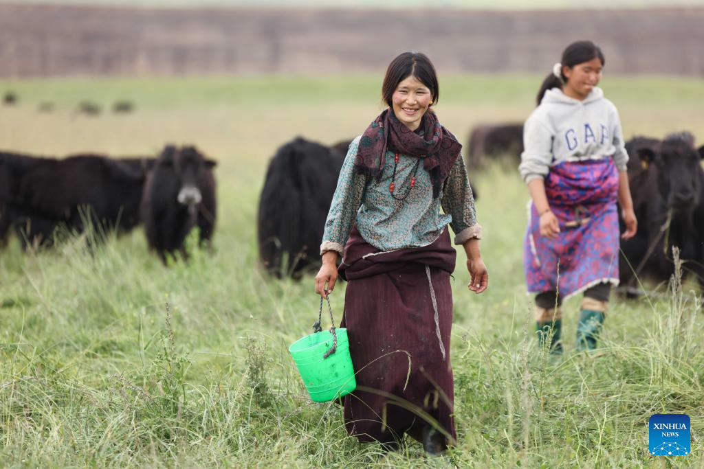 Pic story of shepherd family in NW China