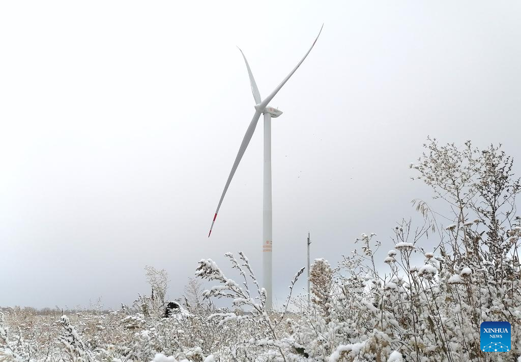 China Focus: Green energy cooperation along Belt and Road illuminates Central Asia