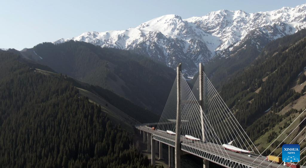 China Focus: Green energy cooperation along Belt and Road illuminates Central Asia