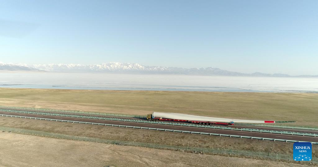 China Focus: Green energy cooperation along Belt and Road illuminates Central Asia