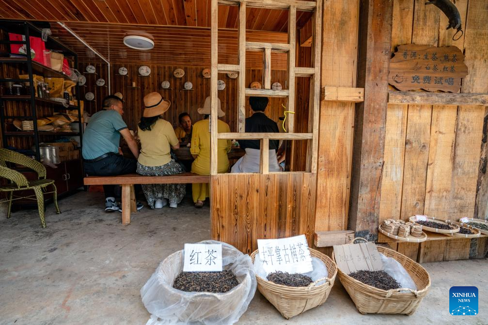 In pics: first tea culture world heritage in China's Yunnan