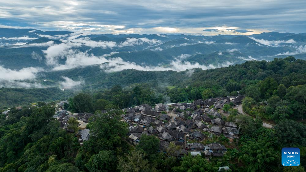 In pics: first tea culture world heritage in China's Yunnan