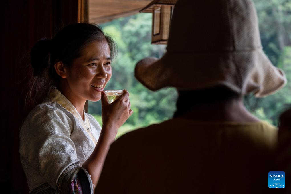 In pics: first tea culture world heritage in China's Yunnan