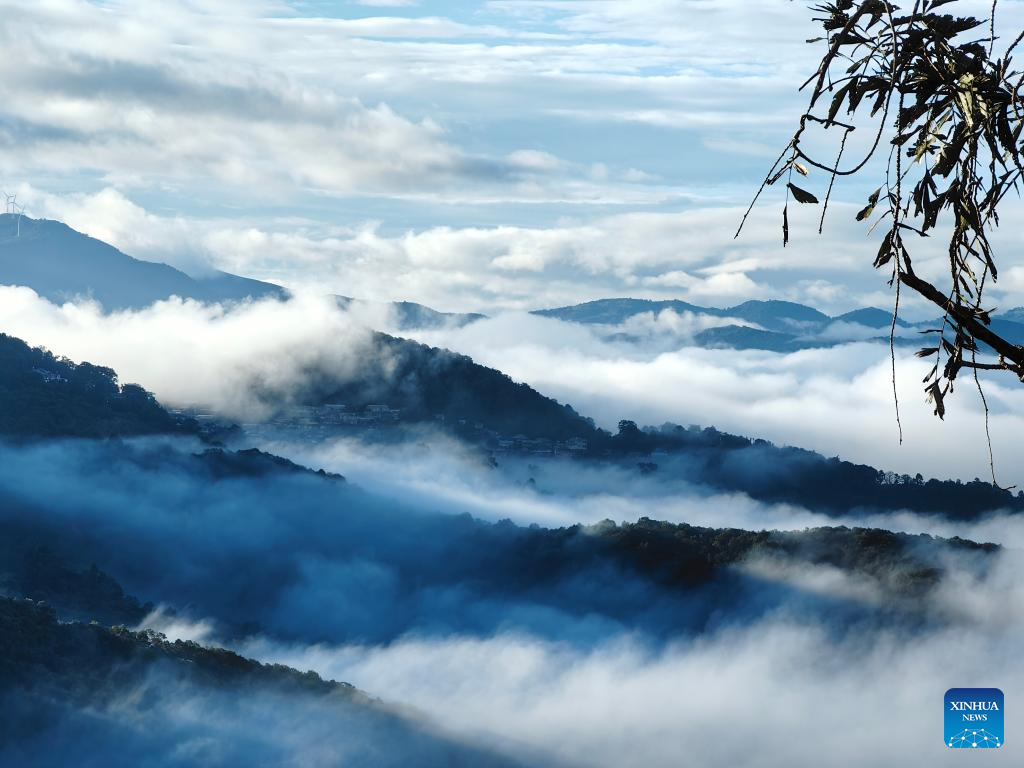 In pics: first tea culture world heritage in China's Yunnan