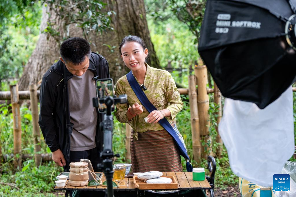 In pics: first tea culture world heritage in China's Yunnan