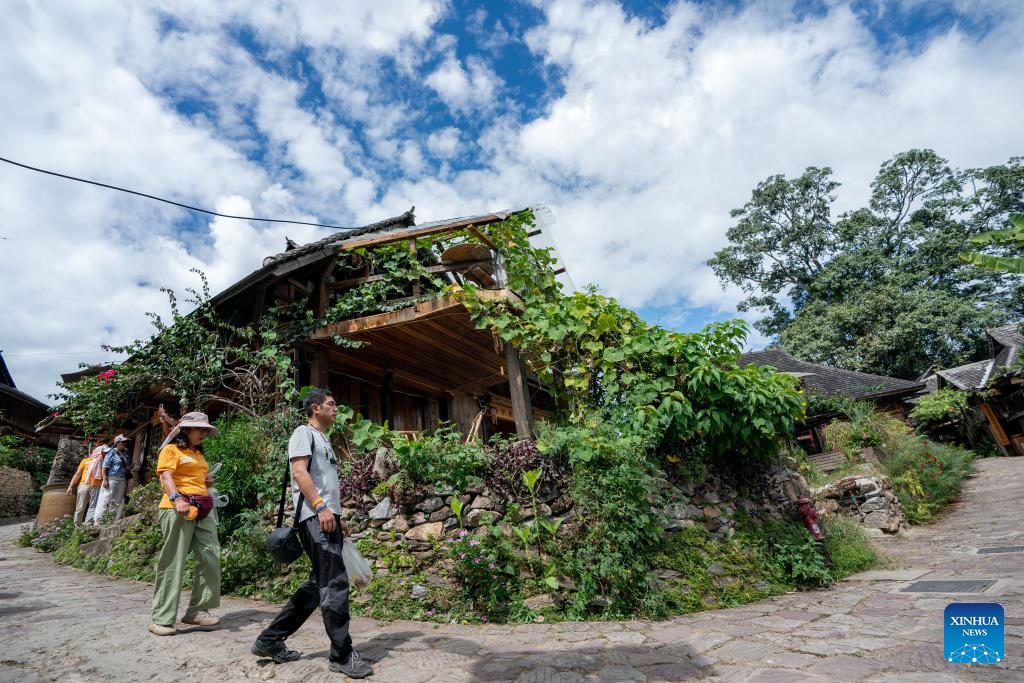 In pics: first tea culture world heritage in China's Yunnan