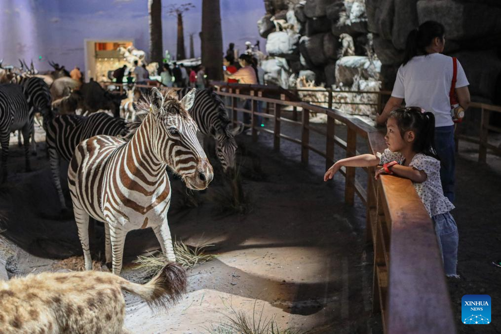 Shanghai hosts tourism festival to boost consumption