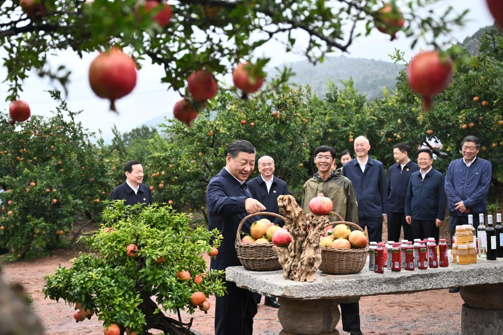 Xi Focus: Xi calls on Zhejiang to write new chapter in advancing Chinese modernization