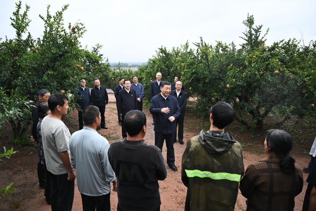 Xi Focus: Xi calls on Zhejiang to write new chapter in advancing Chinese modernization