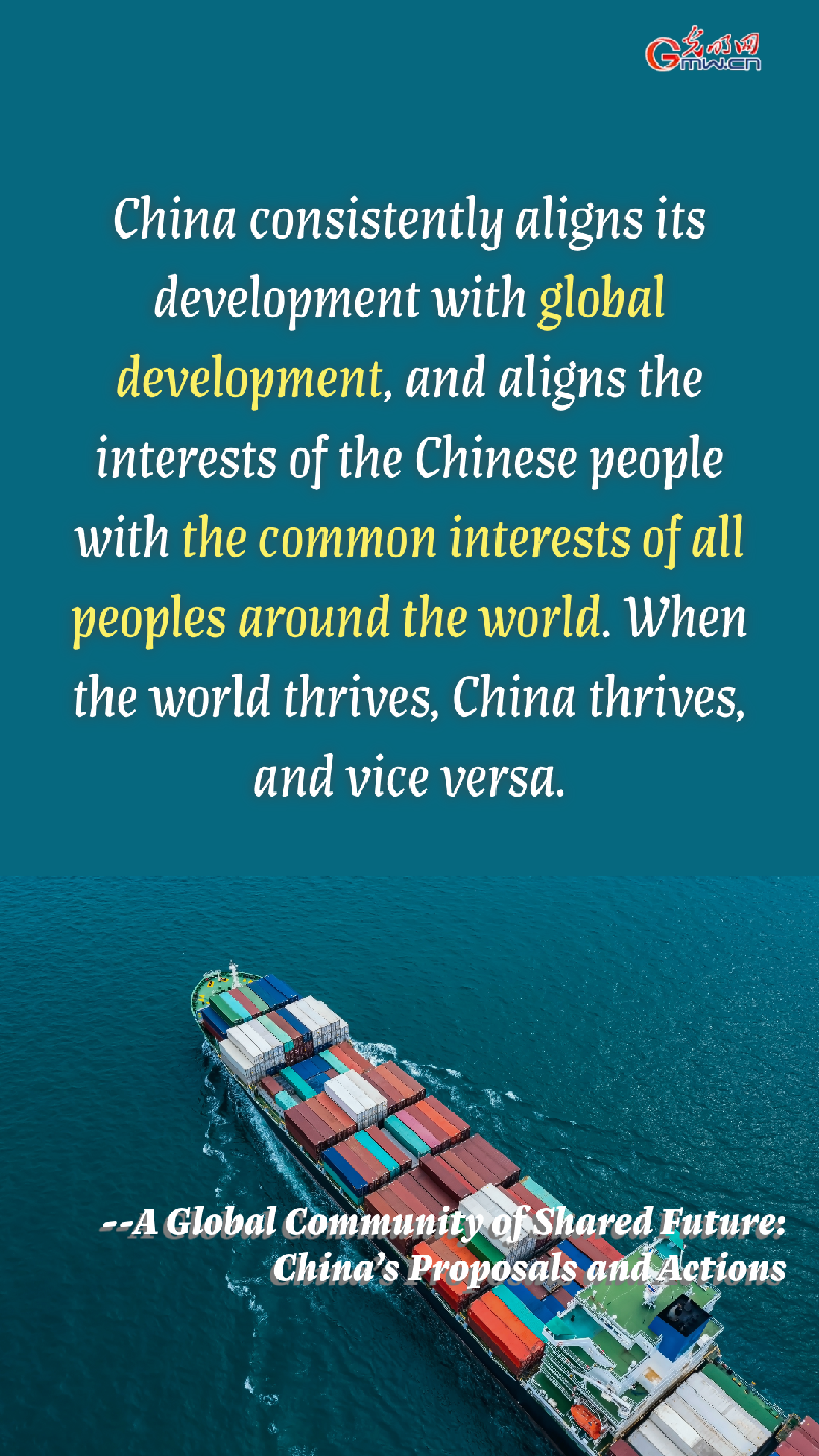 Posters | China's White Paper Highlights Global Cooperation at Humanity's Crossroads