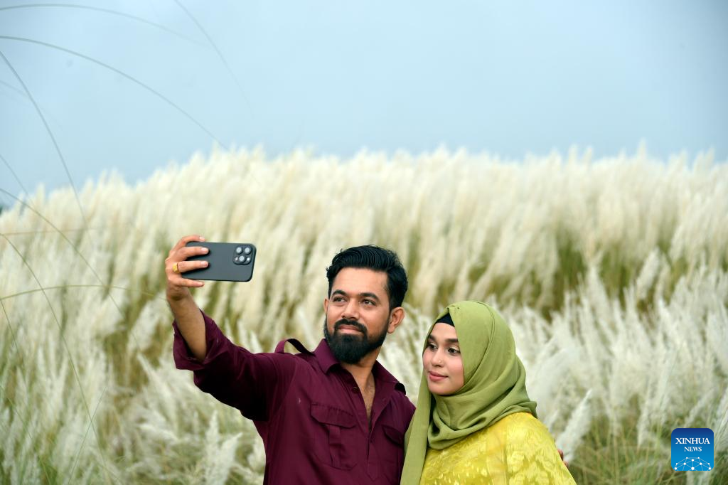 People enjoy Kans Grass flowers in Dhaka, Bangladesh