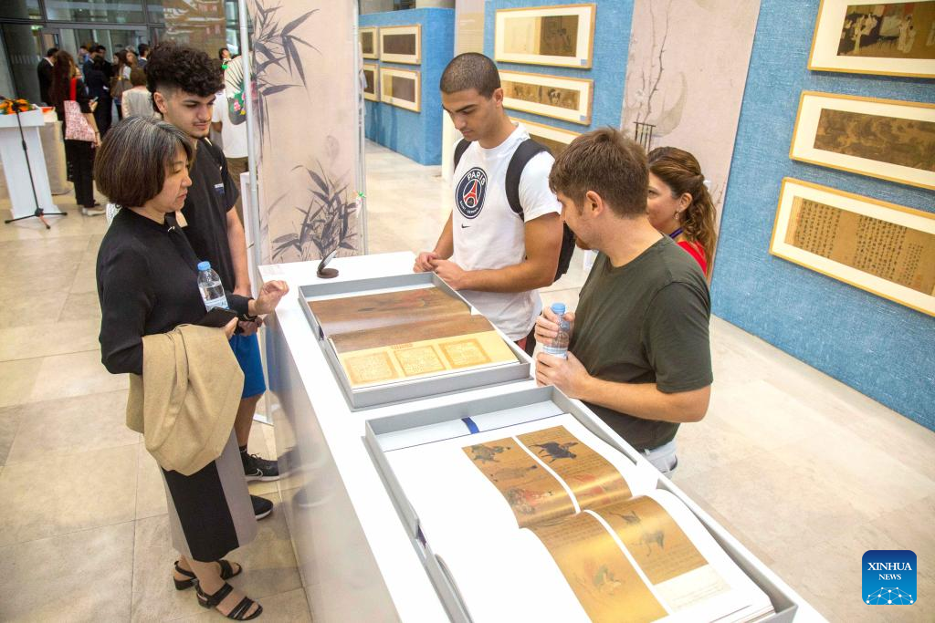 Exhibition of ancient paintings in Cyprus showcases China's rich heritage
