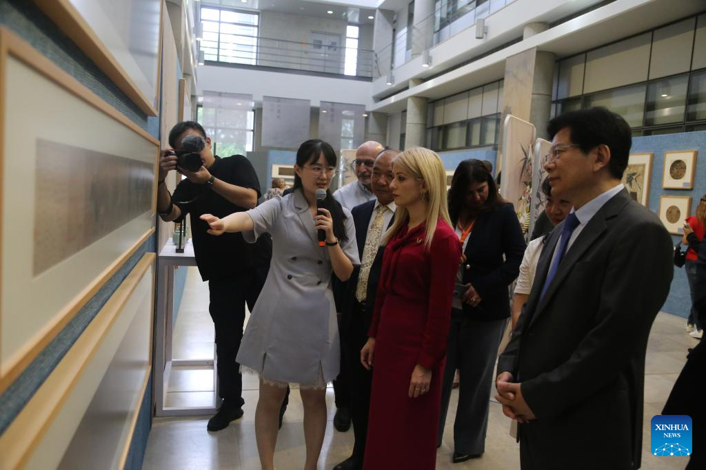 Exhibition of ancient paintings in Cyprus showcases China's rich heritage