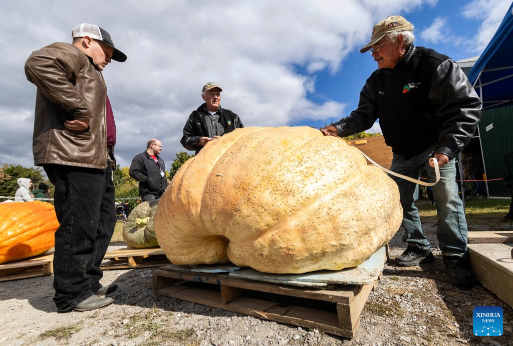 Giant pumpkin contest held in Ontario, Canada