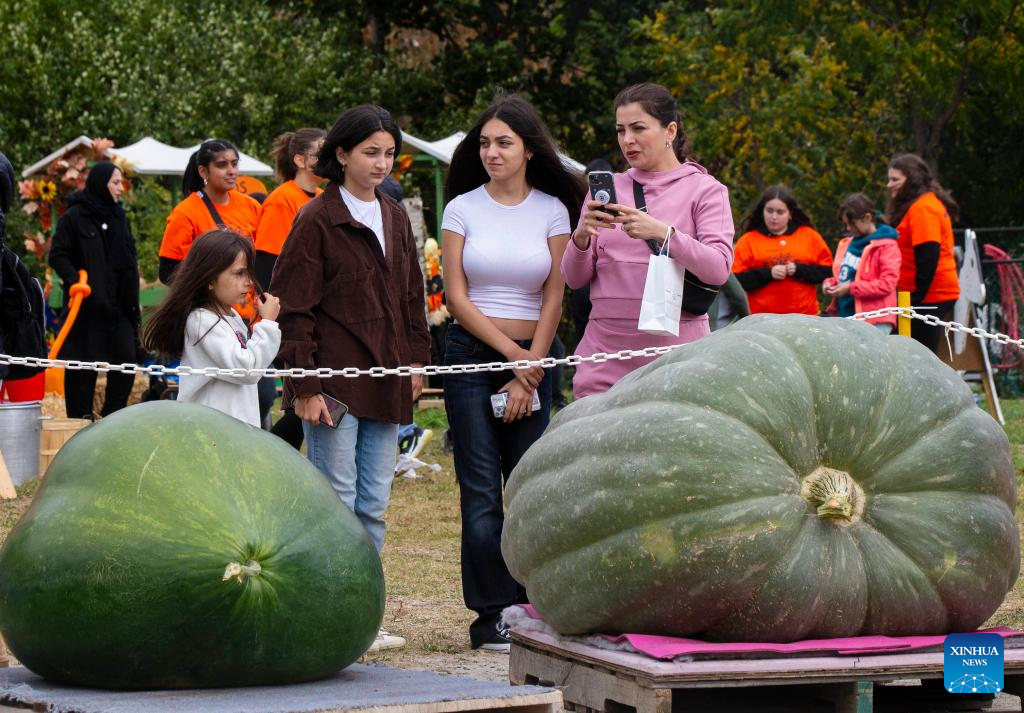 Giant pumpkin contest held in Ontario, Canada