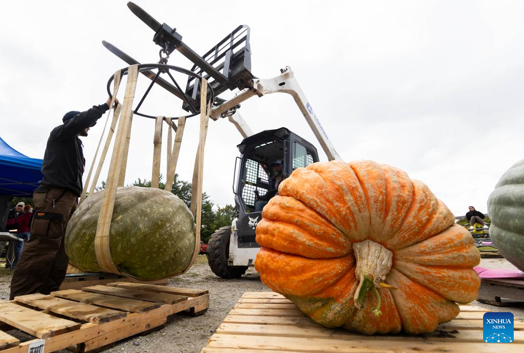 Giant pumpkin contest held in Ontario, Canada