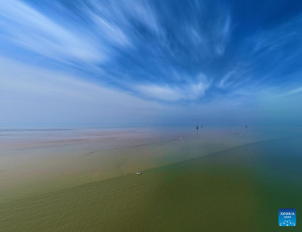 View of Yellow River estuary in Dongying, east China's Shandong