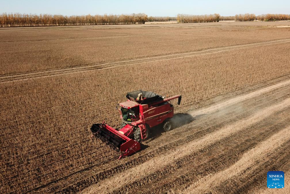 Autumn harvest in Heilongjiang, NE China