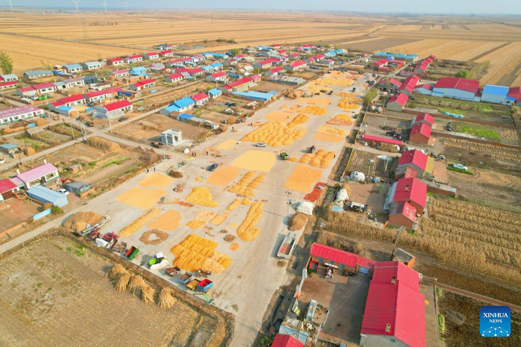 Autumn harvest in Heilongjiang, NE China