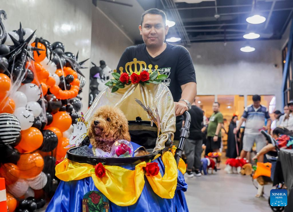 In pics: costume contest for pet dogs in Quezon City, Philippines