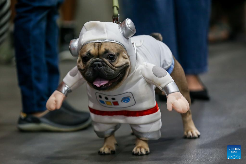 In pics: costume contest for pet dogs in Quezon City, Philippines