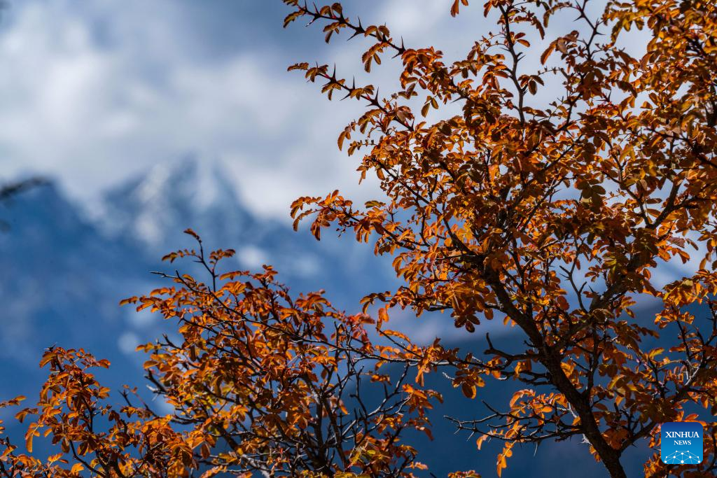Autumn scenery of Hongla Mountain in SW China's Tibet