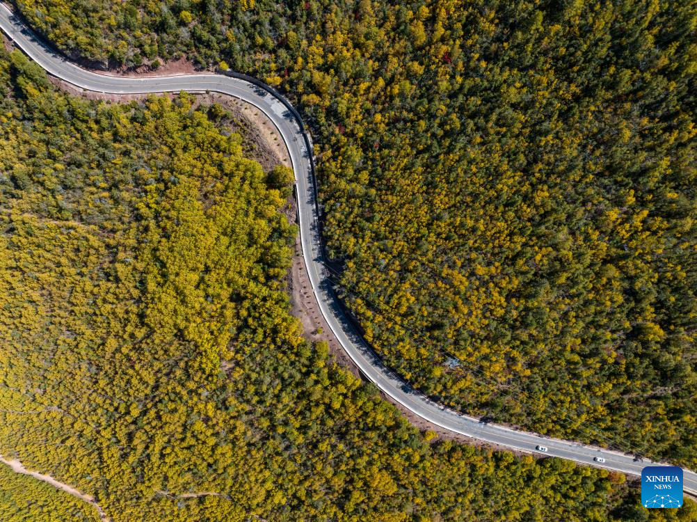 Autumn scenery of Hongla Mountain in SW China's Tibet