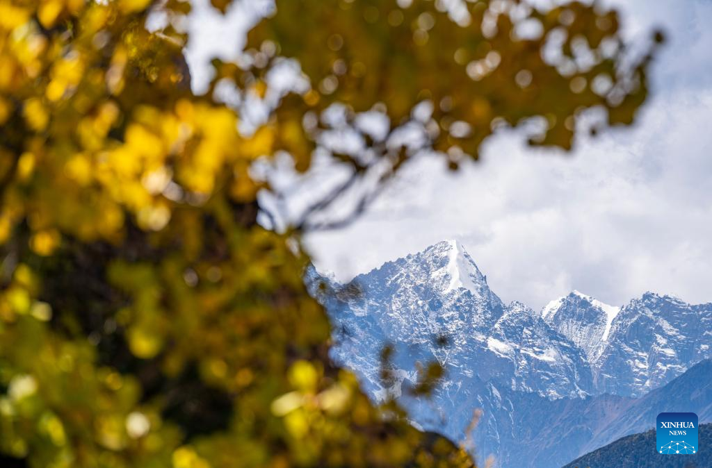 Autumn scenery of Hongla Mountain in SW China's Tibet