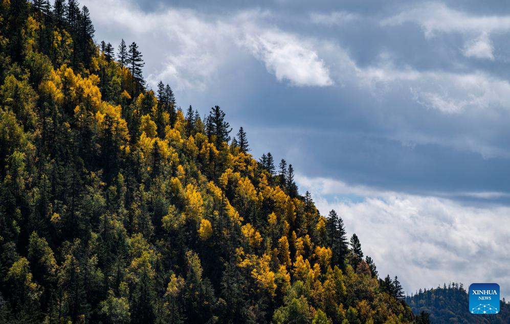 Autumn scenery of Hongla Mountain in SW China's Tibet
