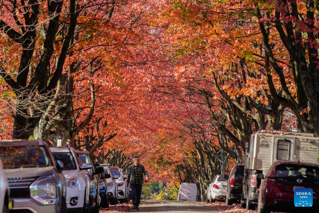Autumn scenery in Vancouver
