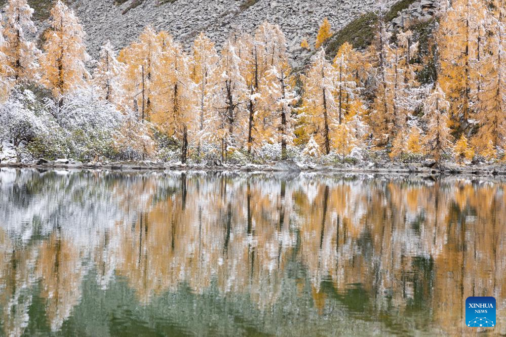 Autumn scenery in Dangling village, SW China's Sichuan