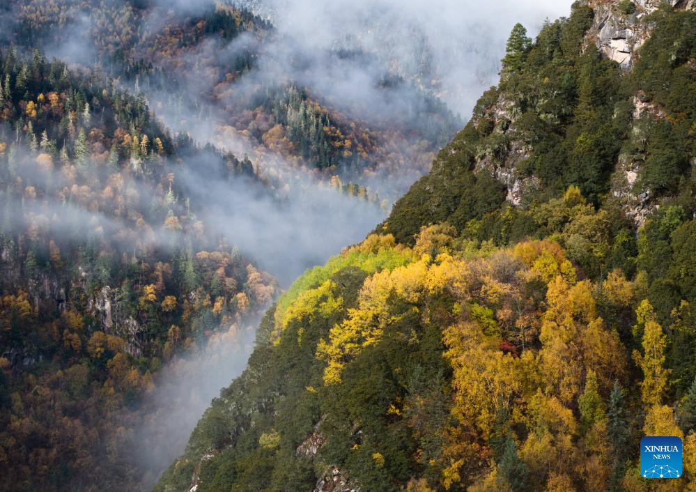 Autumn scenery in Dangling village, SW China's Sichuan