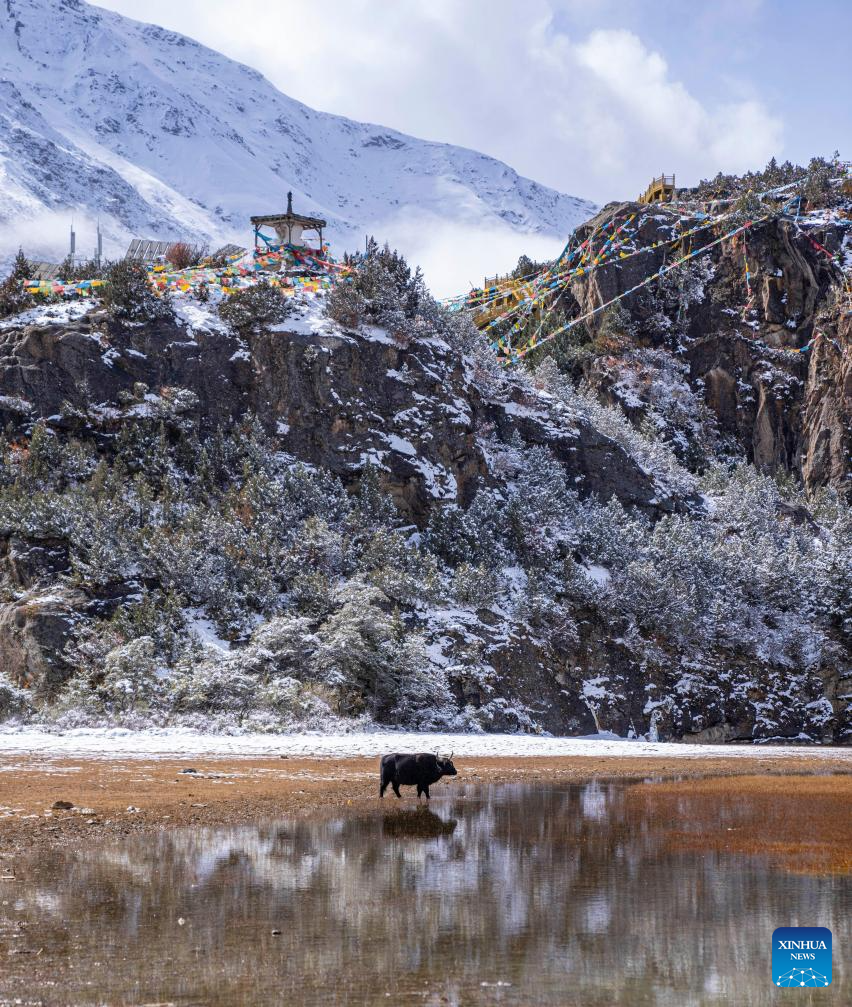 Scenery of Banbar County of Qamdo in SW China's Tibet