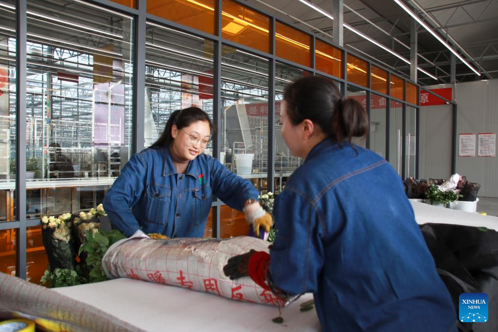 Across China: Smell of success for small-town rose exporter
