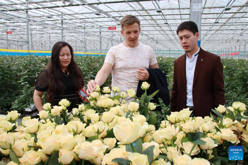 Across China: Smell of success for small-town rose exporter