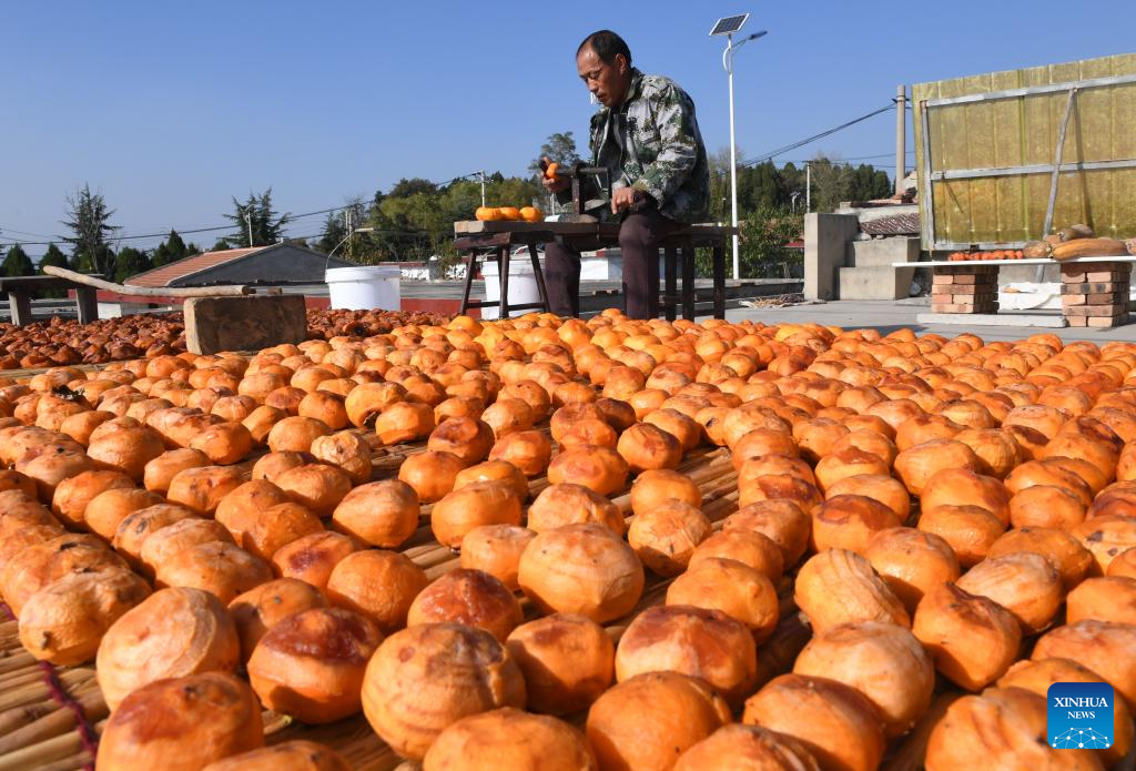 Farmers busy with autumn harvest in Henan, C China