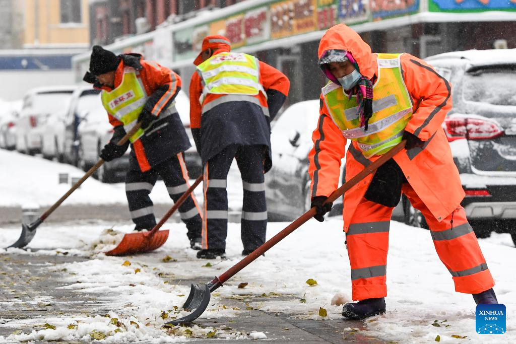 China Focus: Cold snap grips north China, prompting emergency measures