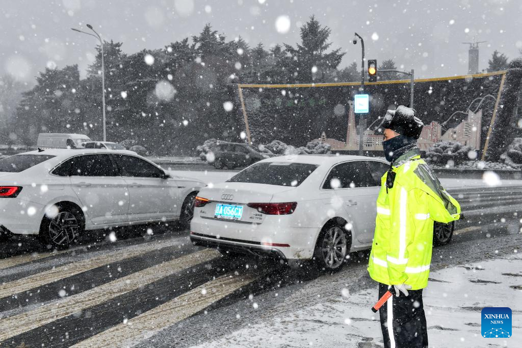 China Focus: Cold snap grips north China, prompting emergency measures