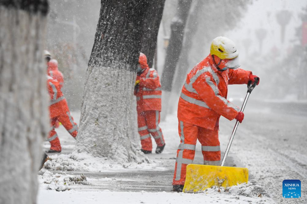 China Focus: Cold snap grips north China, prompting emergency measures