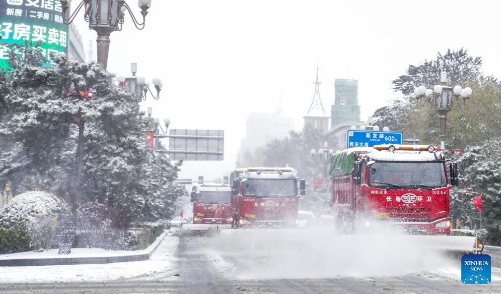 China Focus: Cold snap grips north China, prompting emergency measures