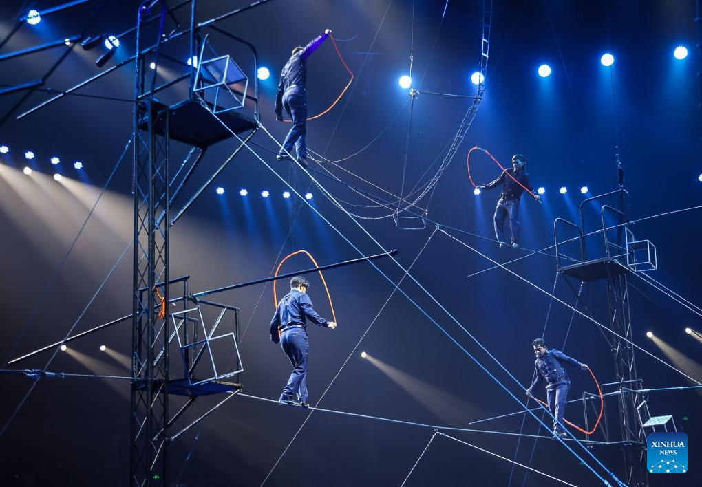 Acrobats from home, abroad perform during 7th China Int'l Circus Festival