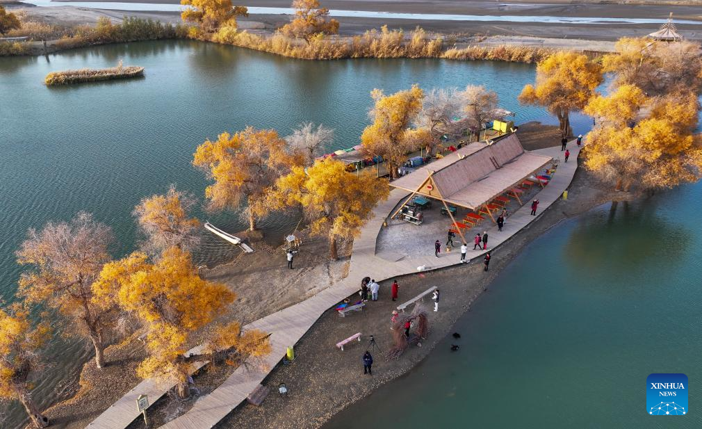 People visit desert poplar forest in Tarim River Basin of Xinjiang