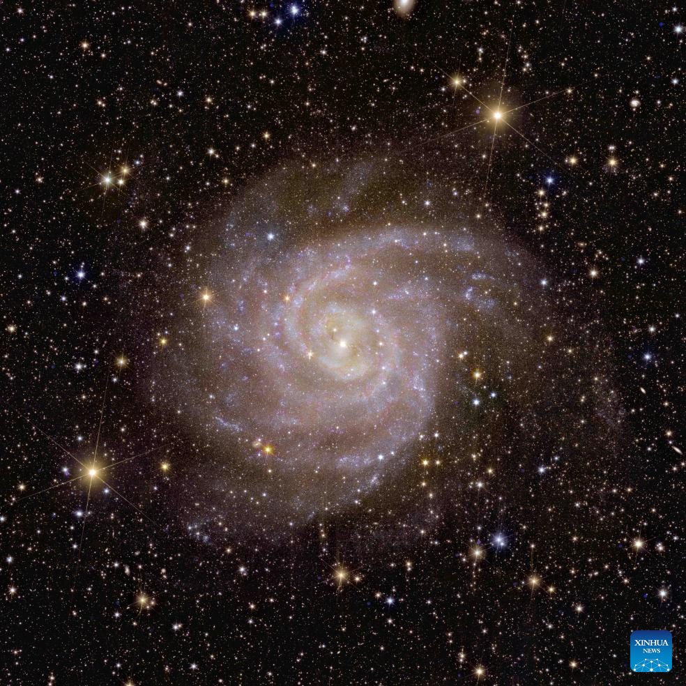 European Space Agency releases Euclid's first photos