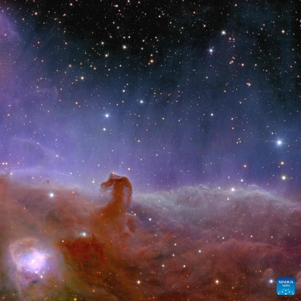 European Space Agency releases Euclid's first photos