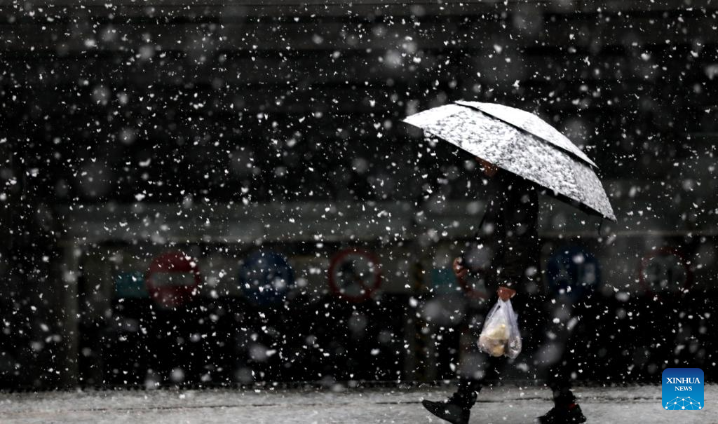 NE China sees snowfall