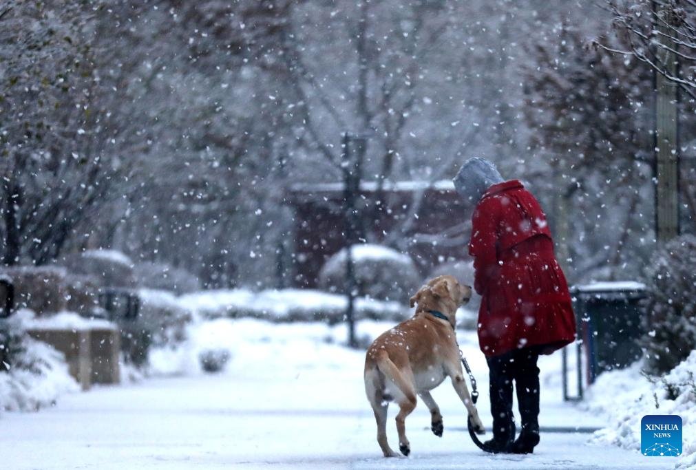 NE China sees snowfall
