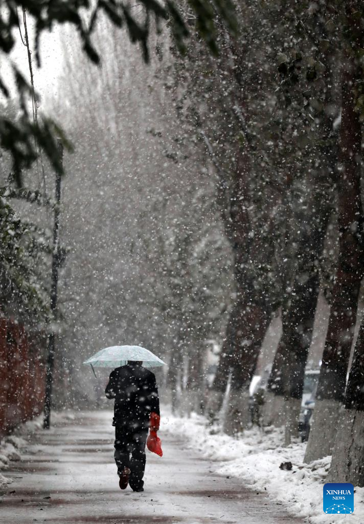 NE China sees snowfall