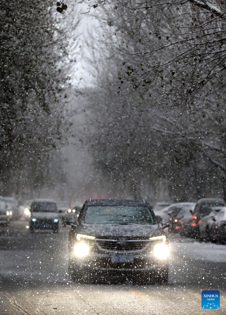 NE China sees snowfall
