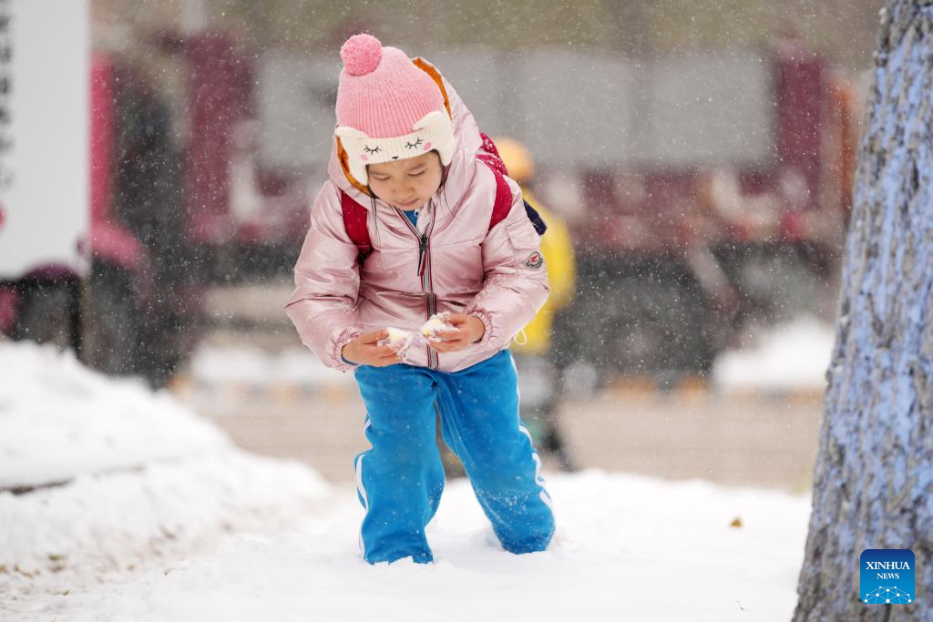 NE China sees snowfall