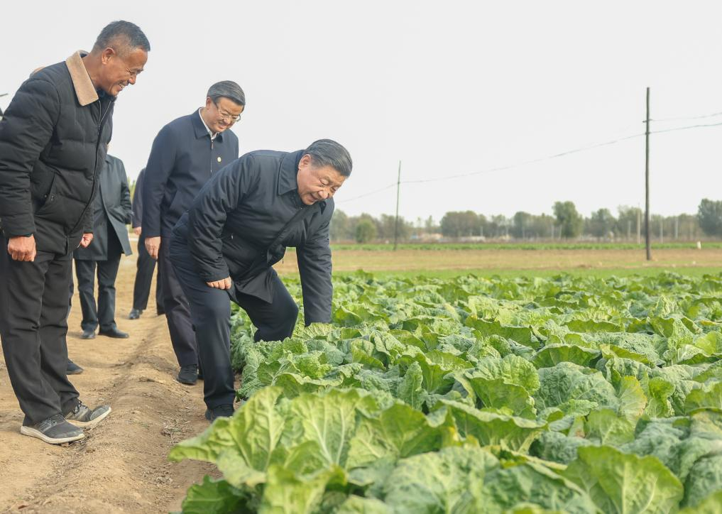 Xi inspects post-flood reconstruction in Beijing, Hebei